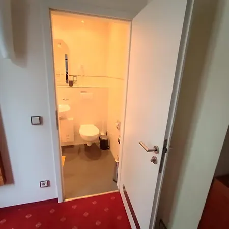 酒店 Die Villa Hotel 勒沃库森